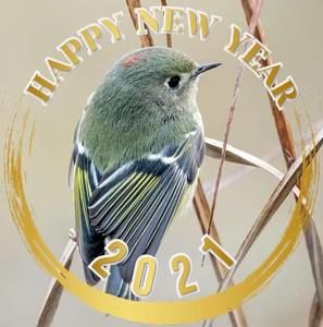 Meet your Posher, Lilly